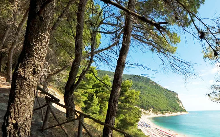 Orienteering: sport nel bosco